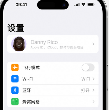 灵山appleID维修服务iPhone设置中Apple ID显示为灰色无法使用