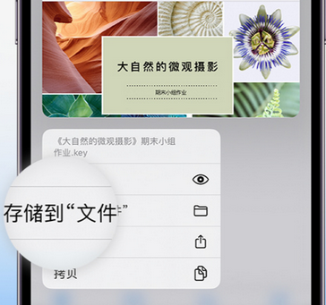 灵山apple维修中心分享iPhone文件应用中存储和找到下载文件