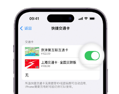 灵山apple维修点分享iPhone上更换Apple Pay快捷交通卡手绘卡面 