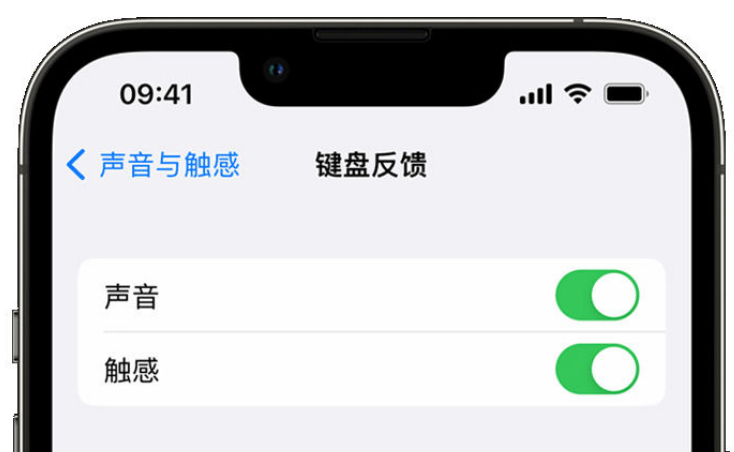 灵山苹果手机维修分享iPhone 14触感键盘使用方法 