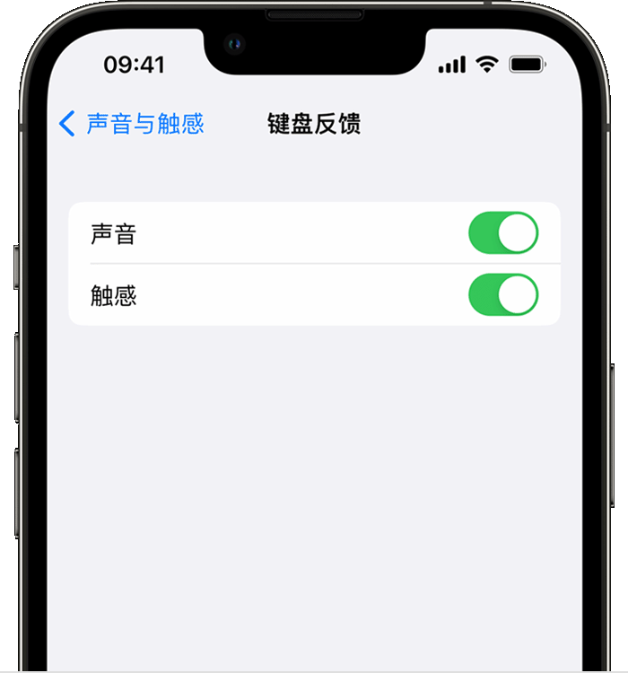 灵山苹果14维修分享iPhone 14 系列机型如何开启键盘声音或触感反馈 