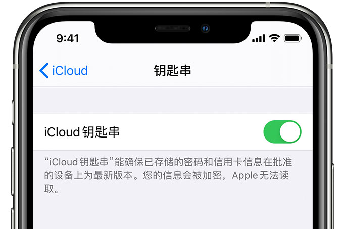 灵山苹果手机维修分享在 iPhone 上开启 iCloud 钥匙串之后会储存哪些信息 