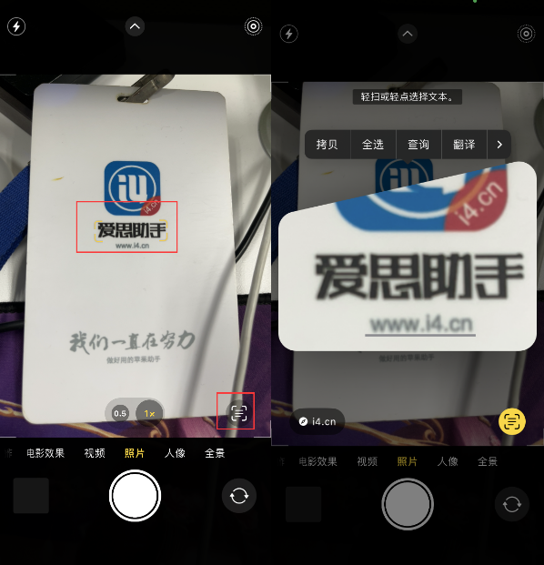 灵山苹果手机维修分享升级iOS 16后如何通过相机翻译文本 
