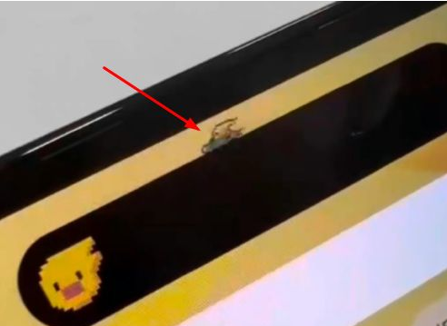 灵山苹果14维修分享iPhone 14 Pro Max灵动岛怎么养宠物 