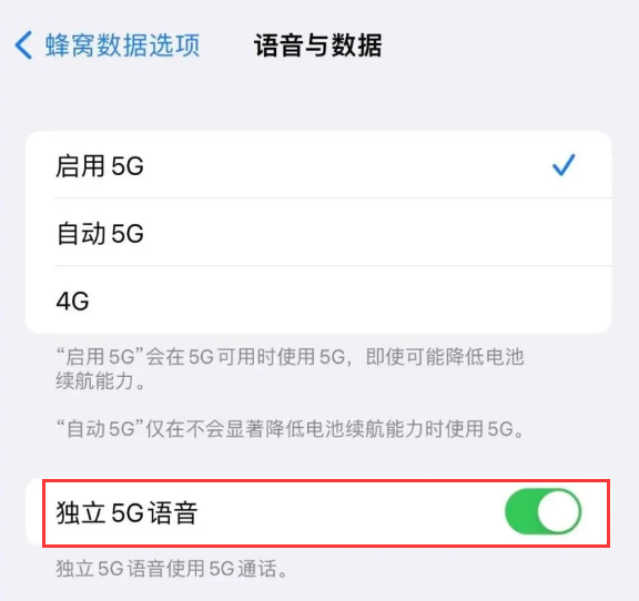 灵山苹果14维修分享iPhone 14 Pro如何开启VoNR 