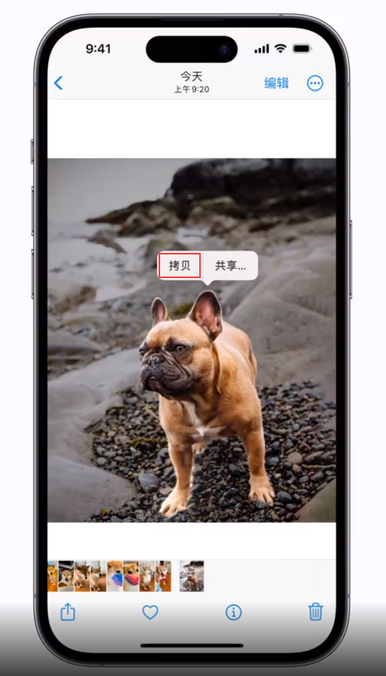 灵山苹果手机维修分享 iOS 16 自带一键抠图功能 