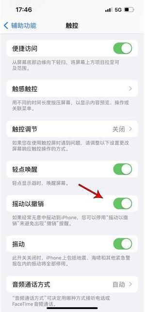 灵山苹果手机维修分享iPhone手机如何设置摇一摇删除文字 