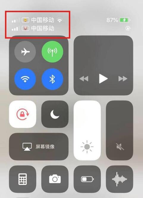 灵山苹果手机维修分享为 iPhone 12 双卡设置标签 